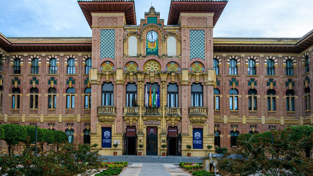 comprehensive spain vat guide