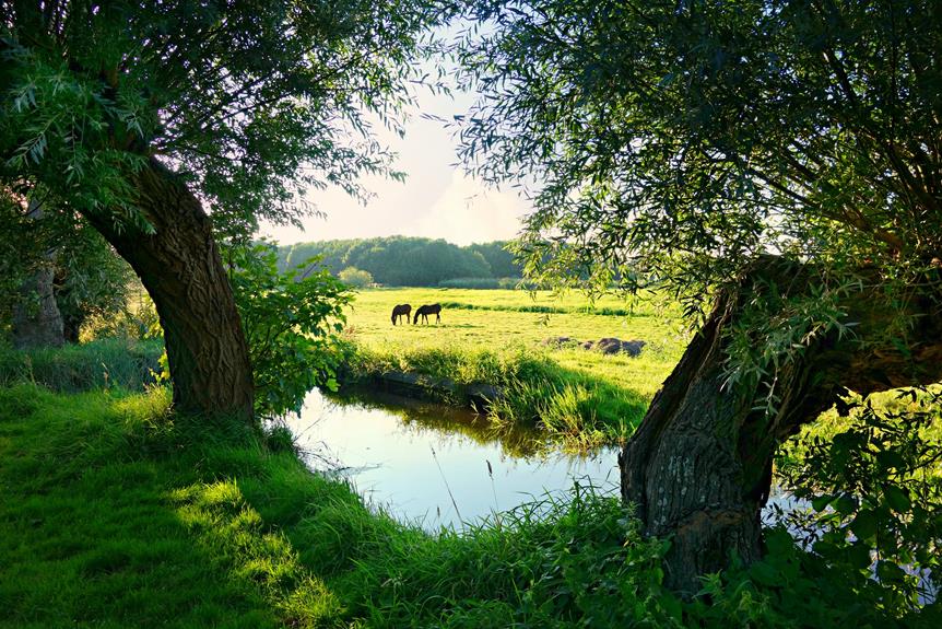 Dutch Vat Returns 5 Dutch Vat Returns Netherlands Vat Filing Process